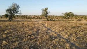 Prime Fenced 38 Acres Sajiloni at 1.5m Per Acre