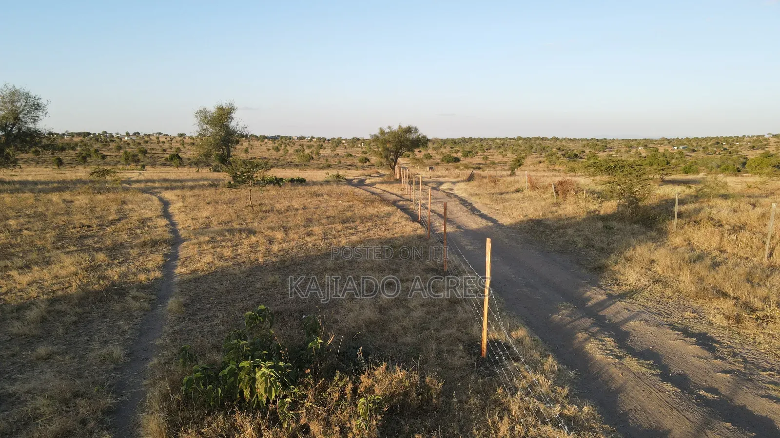 Prime Fenced 38 Acres Sajiloni at 1.5m Per Acre