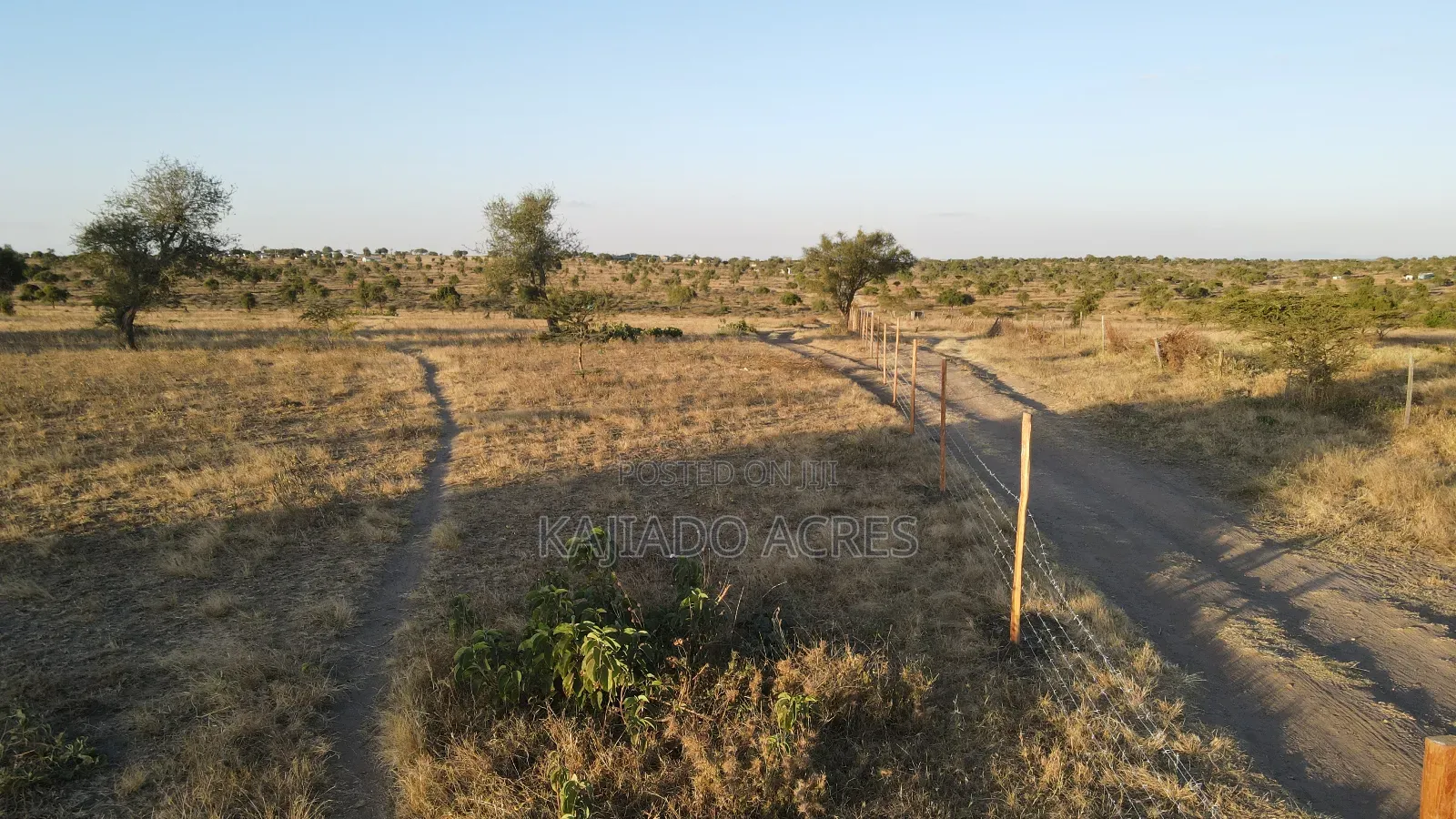 Prime Fenced 38 Acres Sajiloni at 1.5m Per Acre