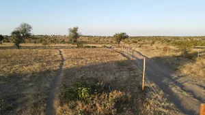 Prime Fenced 38 Acres Sajiloni at 1.5m Per Acre