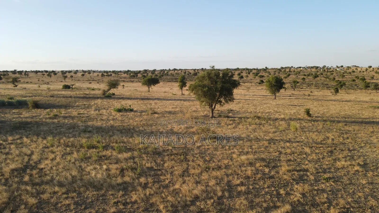 Prime Fenced 38 Acres Sajiloni at 1.5m Per Acre