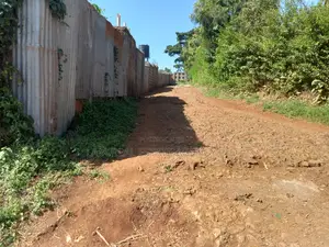 A Must Land for Sale.