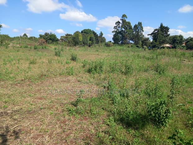 A Must Land for Sale. - thumbnail 7