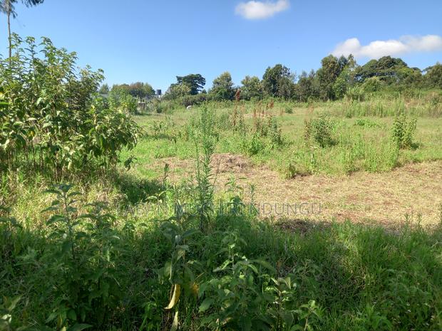 A Must Land for Sale. - thumbnail 5