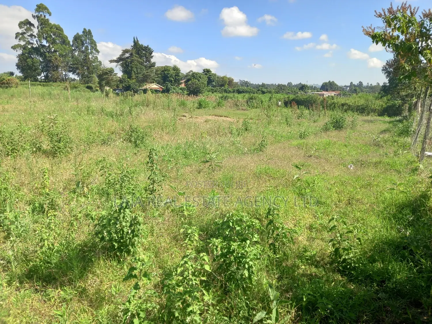 A Must Land for Sale.