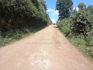 A Must Land for Sale.
