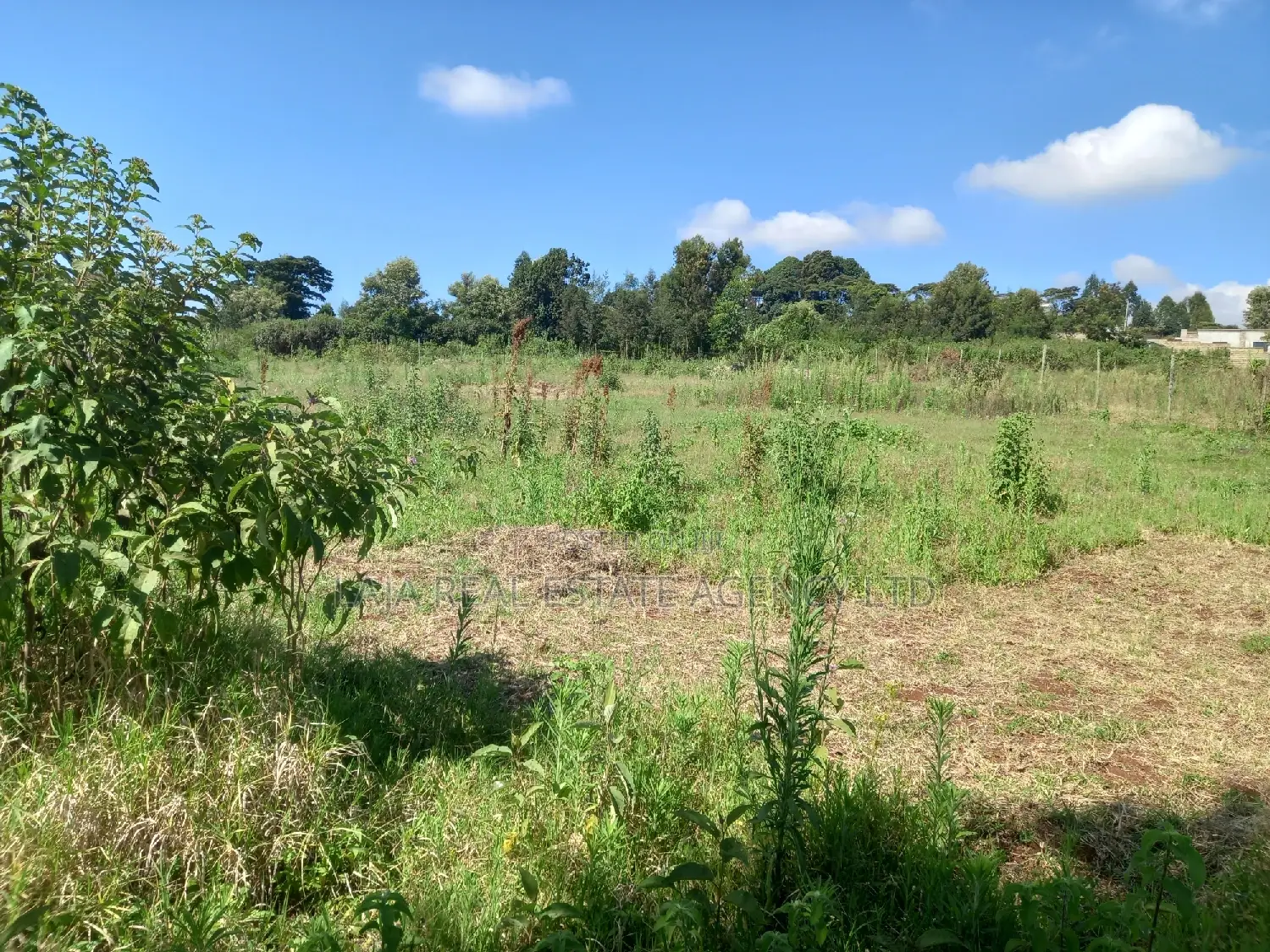 A Must Land for Sale.