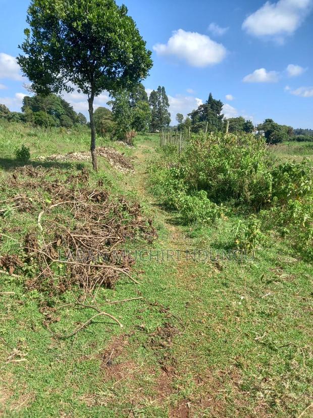 A Must Land for Sale. - thumbnail 9