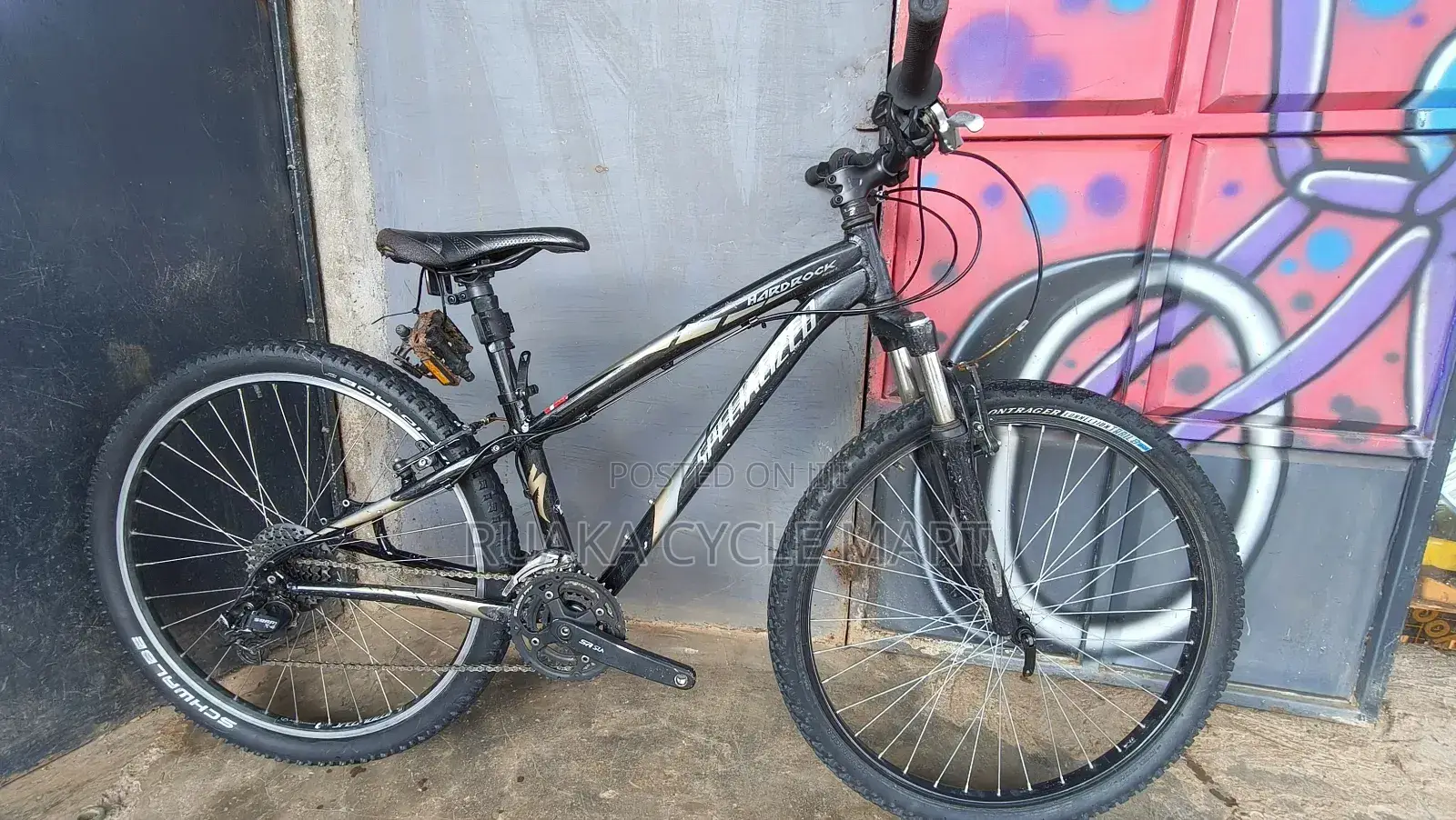 Specialized Mountain Bike