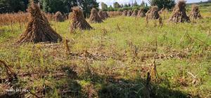 Plot for Sale in Chepkanga Eldoret - thumbnail 2