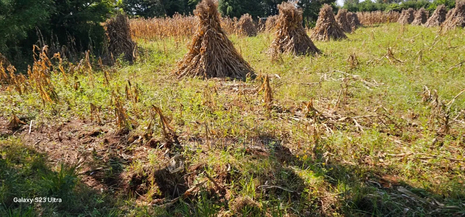 Plot for Sale in Chepkanga Eldoret