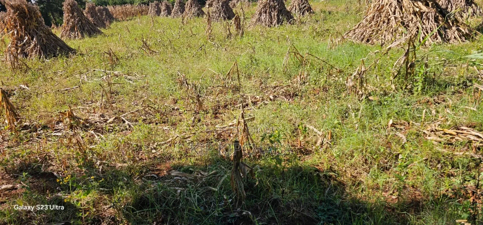 Plot for Sale in Chepkanga Eldoret
