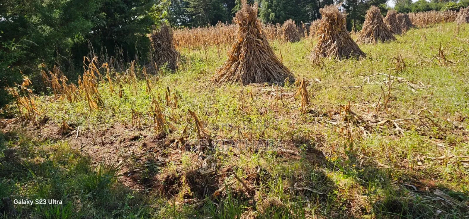 Plot for Sale in Chepkanga Eldoret