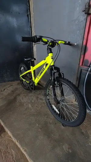 Size 20 Mountain Bike