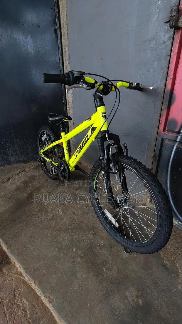 Size 20 Mountain Bike