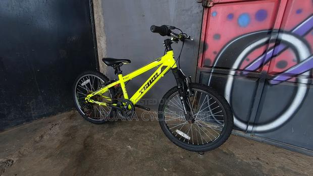 Size 20 Mountain Bike - thumbnail 2