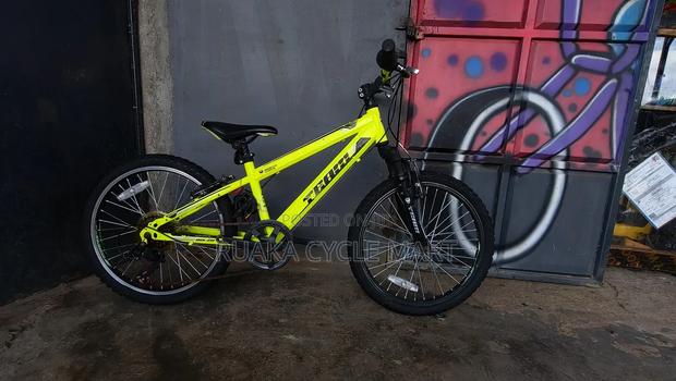Size 20 Mountain Bike - thumbnail 3