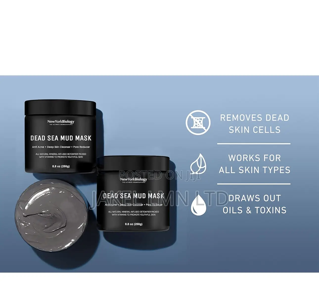 New York Biology Dead Sea Mud Mask - 250g