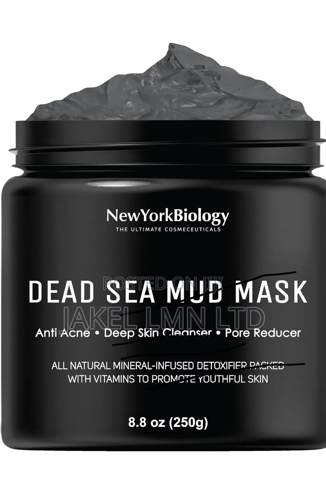 New York Biology Dead Sea Mud Mask - 250g