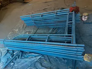 Stainless Scafolding Ladders