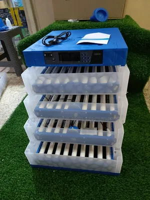 Full Automatic 256egg Incubator/ Ac/Dc Incubator 256eggs