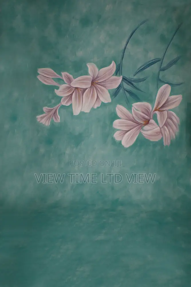 Photography Background Backdrop for Studio 3m by 6m