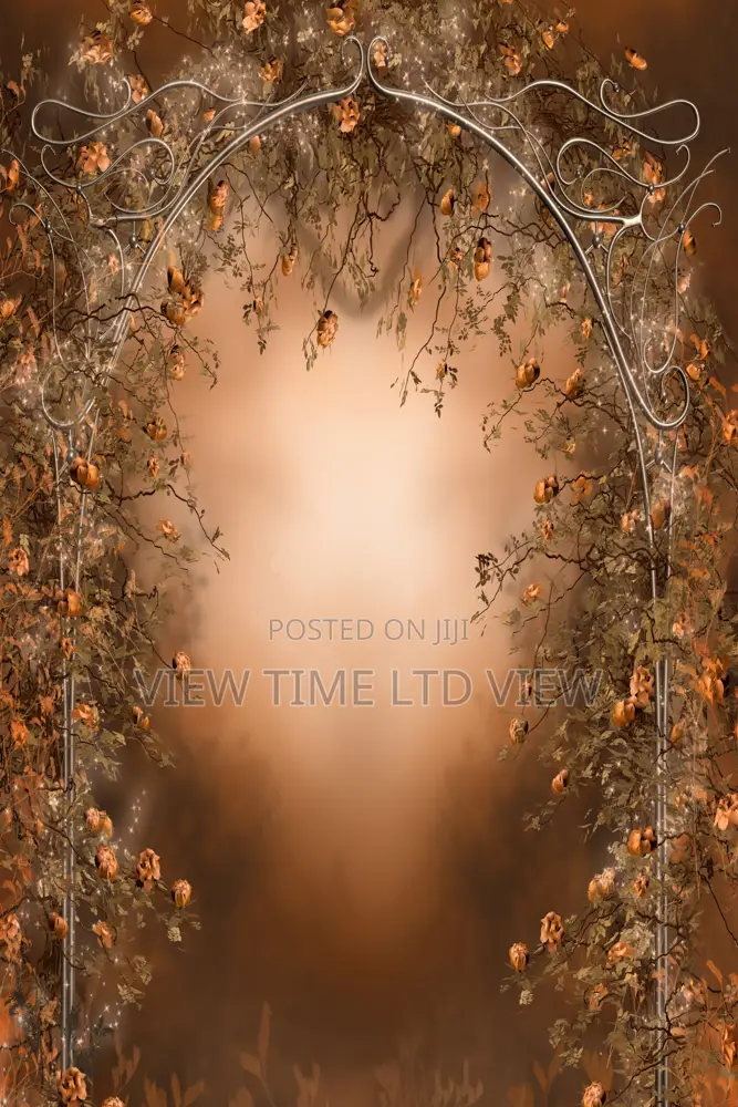 Photography Background Backdrop for Studio 3m by 6m