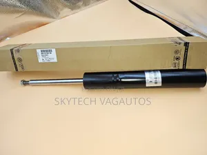 Audi Gas Shock Absobers