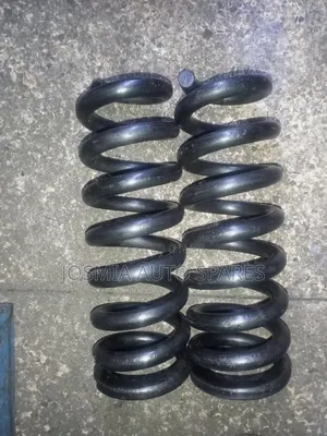 Prado Heavy Duty Coil Springs