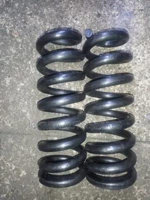 Prado Heavy Duty Coil Springs
