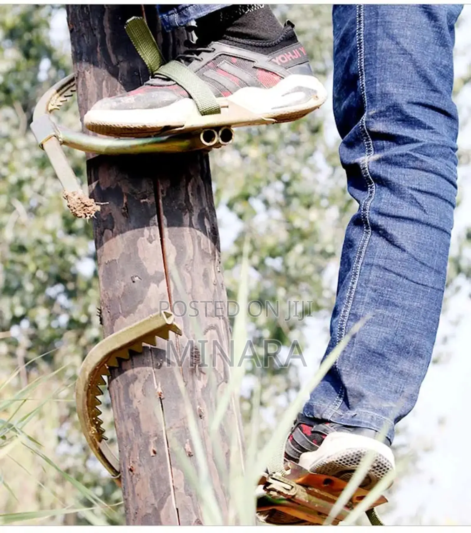 Wooden Pole Climbers Plus Safety Harness Belt