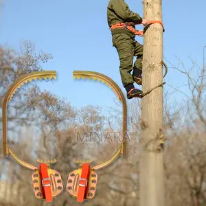 Wooden Pole Climbers Plus Safety Harness Belt