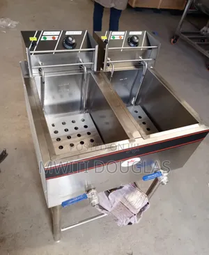 Top Delightful Imported Double Fryer
