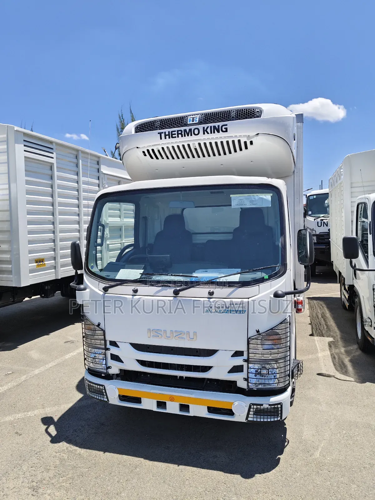 Zero Mileage Isuzu NQR Refrigerated Body