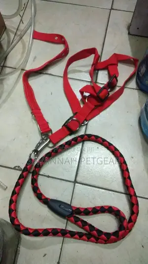 Complete Set of Dog Leash, Collar and Harness - Large Size