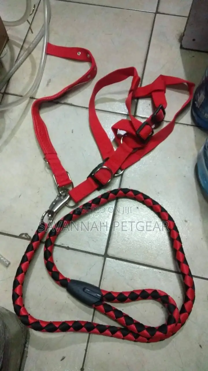 Complete Set of Dog Leash, Collar and Harness - Large Size
