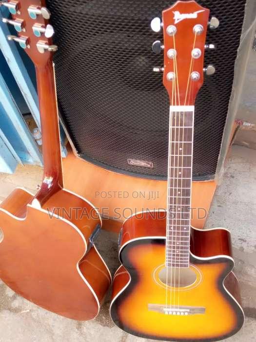 Ebanez Semi Acoustic Box Guitar - main view