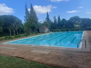 Swimming Pool Attendant