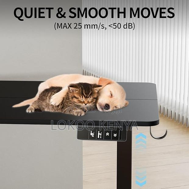 Office Desk:1600mm Height Adjustable Generic Office Desk - thumbnail 5