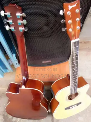 Ebanez Semi Acoustic Box Guitar