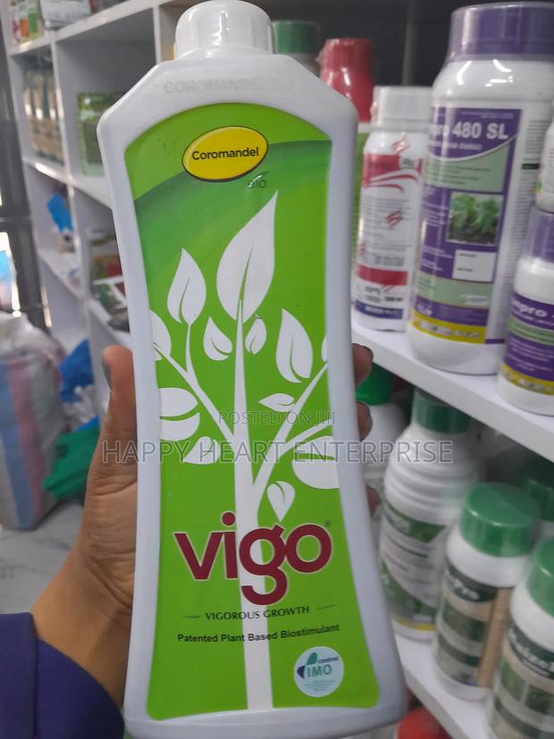 Vigo Plant Based Stimulant Vigorous Growth 1L - main view
