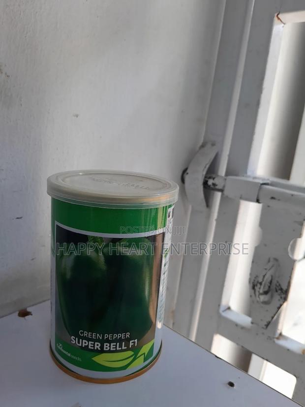 Super Bell F1 Hybrid Green Pepper 100G