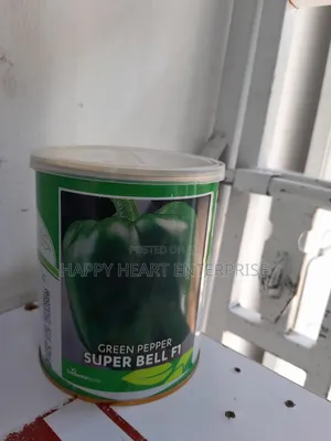 Super Bell F1 Sweet Pepper (Hybrid Green Capsicum)