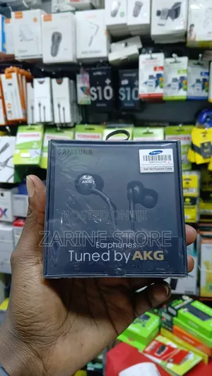 Samsung Earphone Type C Rubber Ear Hooks