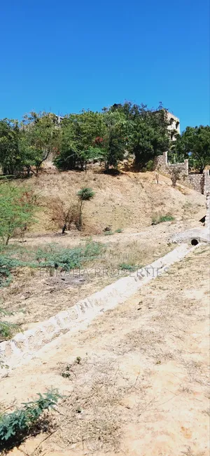 Half Acre Land for Sale Miritini