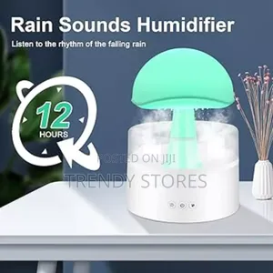 Rain Sound Humidifier With Music