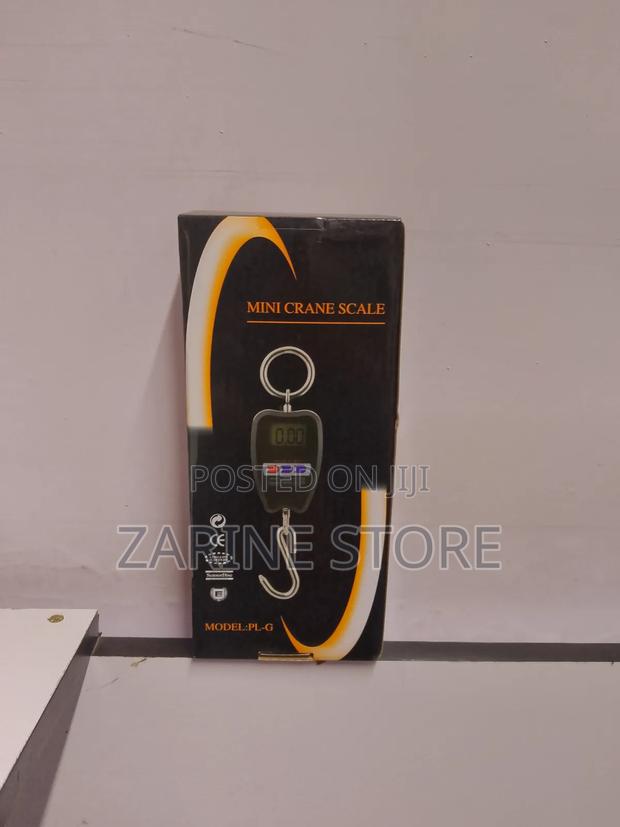 Mini Crane 200kgs - main view