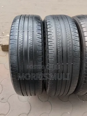 225/60r18 Dunlop