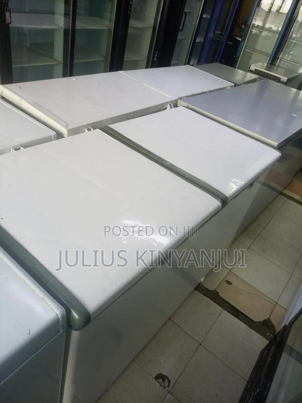 Double Door Freezer 550L
