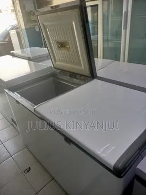 Double Door Freezer 550L